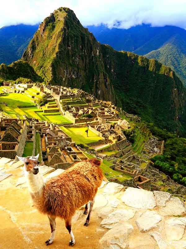 Camino Inca Corto a Machu Picchu 1 Día 5 Short Inca Trail to Machu Picchu 1-Day