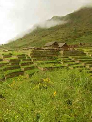 Tour Huchuy Qosqo Trek 2 dias 4 Huchuy Qosqo trek 2 Days