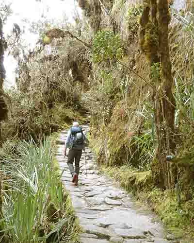 Tour Camino Inca a Machu Picchu 2 días 1 Short inca trail to Machu Picchu 2 days